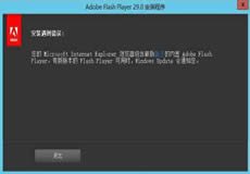 Windows Server 2016、2019顯示啟用Flash